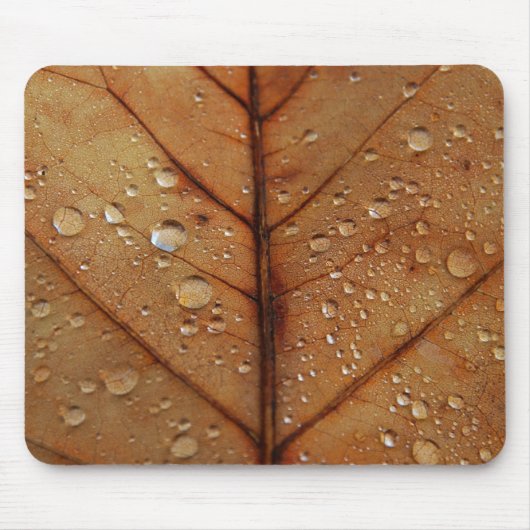 Herfst Muismat (Voorkant)