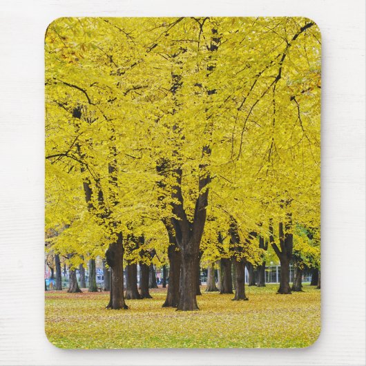 Herfst Muismat (Voorkant)