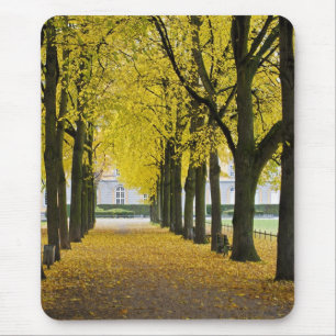 Herfst Muismat
