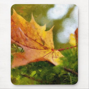 Herfst Muismat