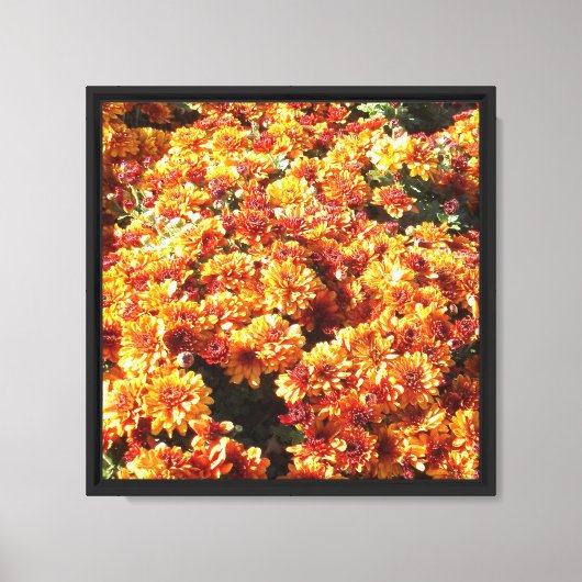 Herfst Mums Canvas Afdruk (Voorkant)