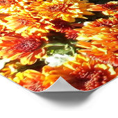 Herfst Mums Poster (Hoek)