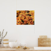 Herfst Mums Poster (Keuken)