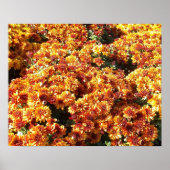 Herfst Mums Poster (Voorkant)