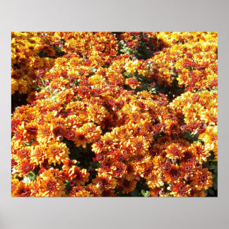 Herfst Mums Poster