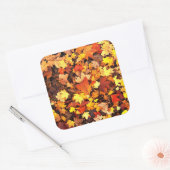 Herfst, naaldbladeren, herfstkleuren vierkante sticker (Envelop)