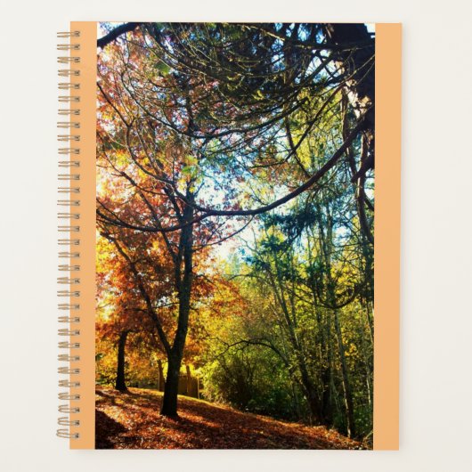 herfst namiddag planner (Voorkant)