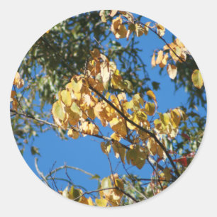 herfst namiddag ronde sticker
