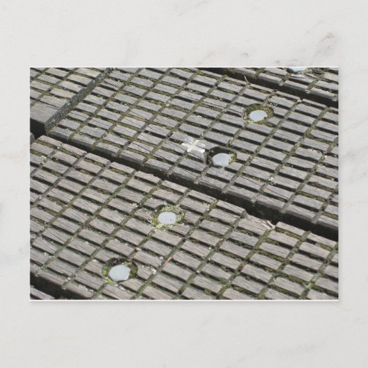 herfst niet tussen de scheuren briefkaart (Voorkant)