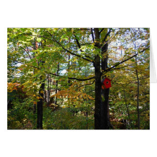 Herfst Noord-Orntario