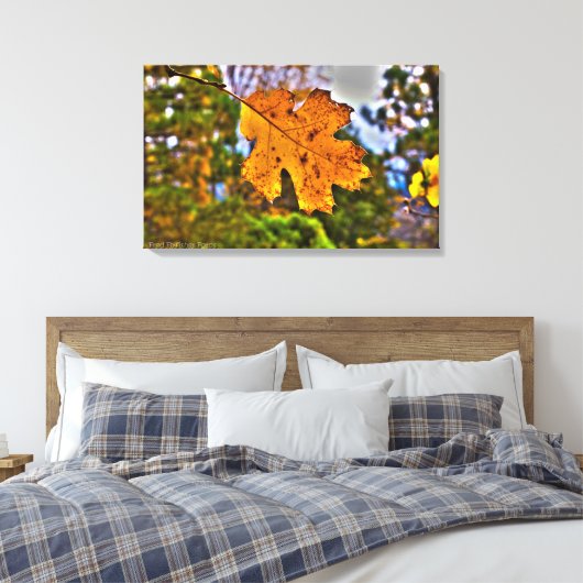 Herfst Oak Leaf HDR Canvas Afdruk (Insitu (Slaapkamer))