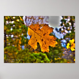 Herfst Oak Leaf HDR Poster