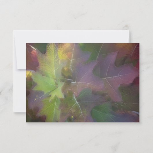Herfst Oak Leaf Hydrangea Wedding RSVP Response Ka (Achterkant)