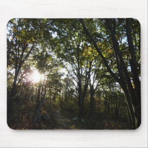 Herfst ochtend in Shenandoah National Park Muismat