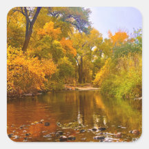 Herfst Oever