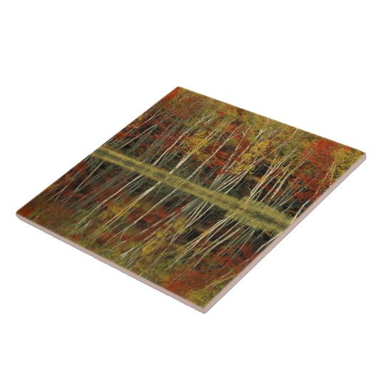 Herfst-olie- en vogelreflecties; Hiawatha Tegeltje (Zijkant)