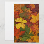 Herfst olievlokken in neutrale kleuren briefpapier (Voorkant / Achterkant)