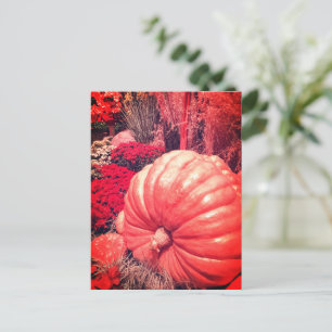 Herfst Oogst Ansichtkaart Briefkaart