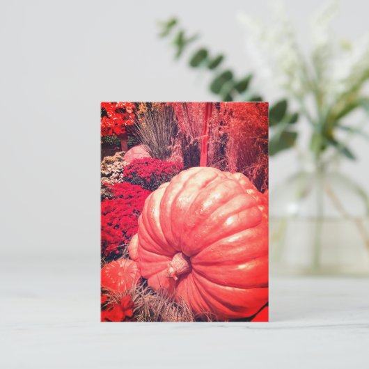 Herfst Oogst Ansichtkaart Briefkaart (Staand voorkant)