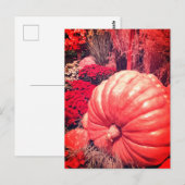 Herfst Oogst Ansichtkaart Briefkaart (Voorkant / Achterkant)