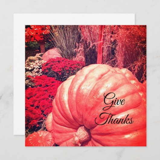 Herfst Oogst Kaart (Voorkant / Achterkant)