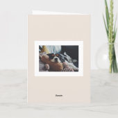 Herfst Oogst Pompoen Happy Thanksgiving Foto Feestdagen Kaart (Achterkant)