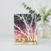 herfst oogst: spookboom briefkaart (Staand voorkant)