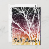herfst oogst: spookboom briefkaart (Voorkant / Achterkant)