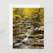 Herfst op Big Creek Briefkaart (Voorkant / Achterkant)