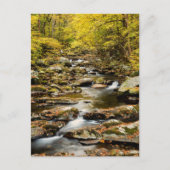 Herfst op Big Creek Briefkaart (Voorkant)