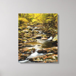 Herfst op Big Creek Canvas Afdruk