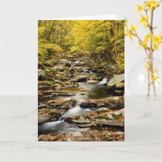 Herfst op Big Creek Kaart (Gele Bloem)