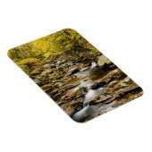 Herfst op Big Creek Magneet (Rechterzijde)