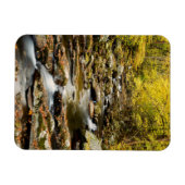 Herfst op Big Creek Magneet (Horizontaal)