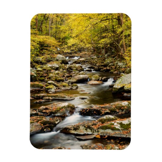 Herfst op Big Creek Magneet (Verticaal)
