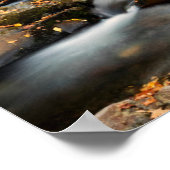 Herfst op Big Creek Poster (Hoek)