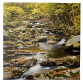 Herfst op Big Creek Tegeltje (Voorkant)