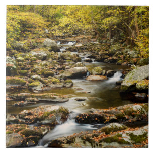 Herfst op Big Creek Tegeltje