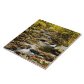 Herfst op Big Creek Tegeltje (Zijkant)