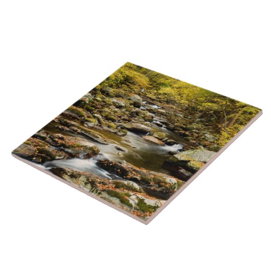 Herfst op Big Creek Tegeltje (Zijkant)