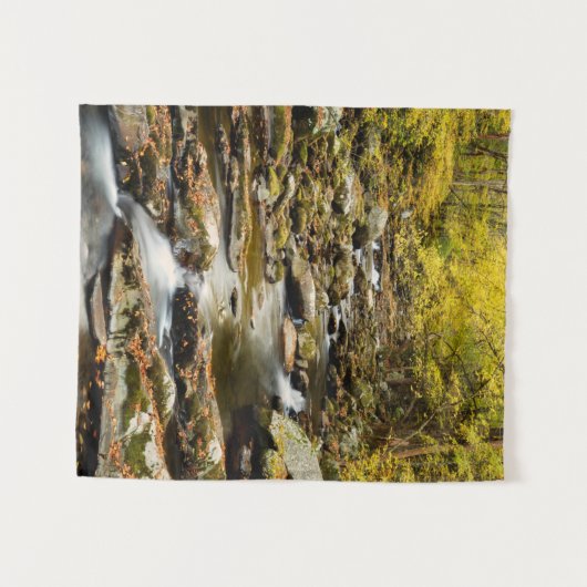 Herfst op Big Creek Wandkleed (Voorkant (horizontaal))