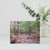 Herfst op Blue Hills Reservation Red Dot Trail Briefkaart (Staand voorkant)