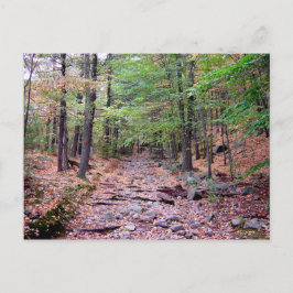 Herfst op Blue Hills Reservation Red Dot Trail Briefkaart