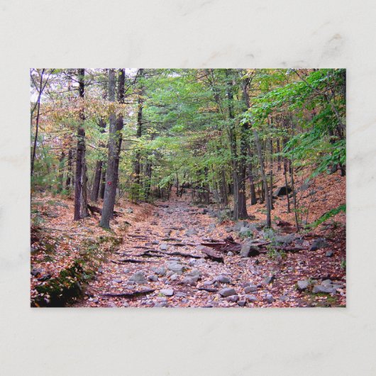 Herfst op Blue Hills Reservation Red Dot Trail Briefkaart (Voorkant)