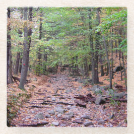 Herfst op Blue Hills Reservation Red Dot Trail Glazen Onderzetter
