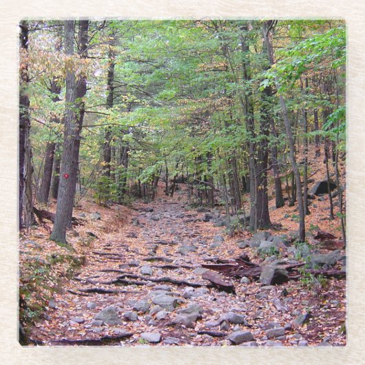Herfst op Blue Hills Reservation Red Dot Trail Glazen Onderzetter (Voorkant)