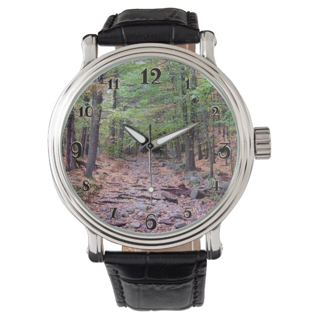 Herfst op Blue Hills Reservation Red Dot Trail Horloge (Voorkant)