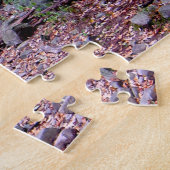 Herfst op Blue Hills Reservation Red Dot Trail Legpuzzel (Zijkant)