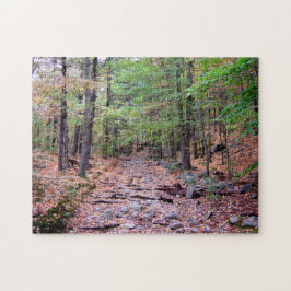 Herfst op Blue Hills Reservation Red Dot Trail Legpuzzel