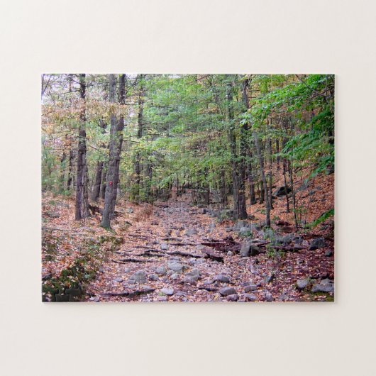 Herfst op Blue Hills Reservation Red Dot Trail Legpuzzel (Horizontaal)